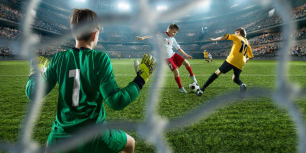 数球迷的心 数球迷的心