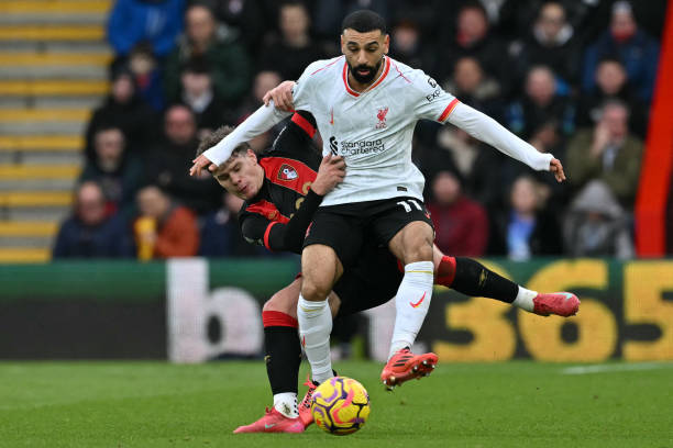 球队与球迷 球队与球迷